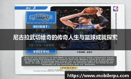 尼古拉武切维奇的传奇人生与篮球成就探索